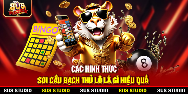 Bạch Thủ Lô Là Gì? Hướng Dẫn Chi Tiết Từ Chuyên Gia 8US Các hình thức soi cầu bạch thủ lô là gì hiệu quả