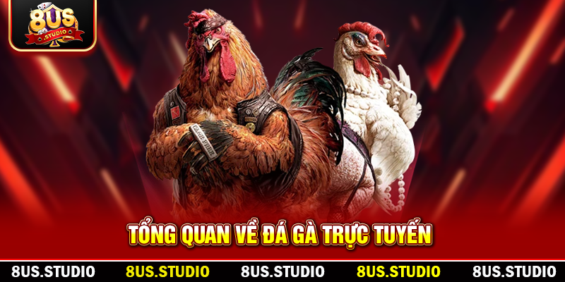 Đá Gà Trực Tuyến – Trải Nghiệm Giải Trí Đỉnh Cao Cùng 8US Tổng quan về đá gà trực tuyến